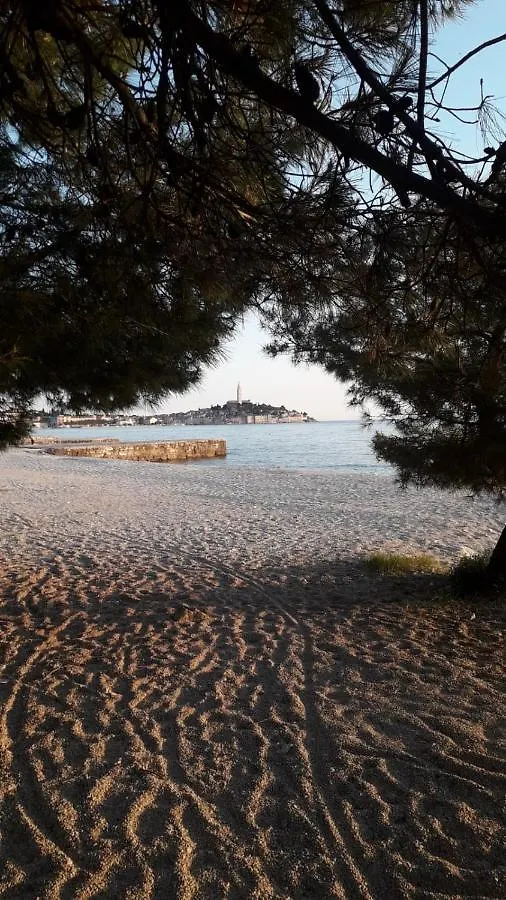 Family Apartment Villa Zrnka S Besplatnim Parkingom Rovinj Croatia